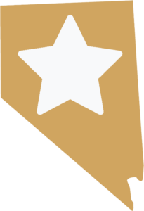 Real ID Nevada kopie